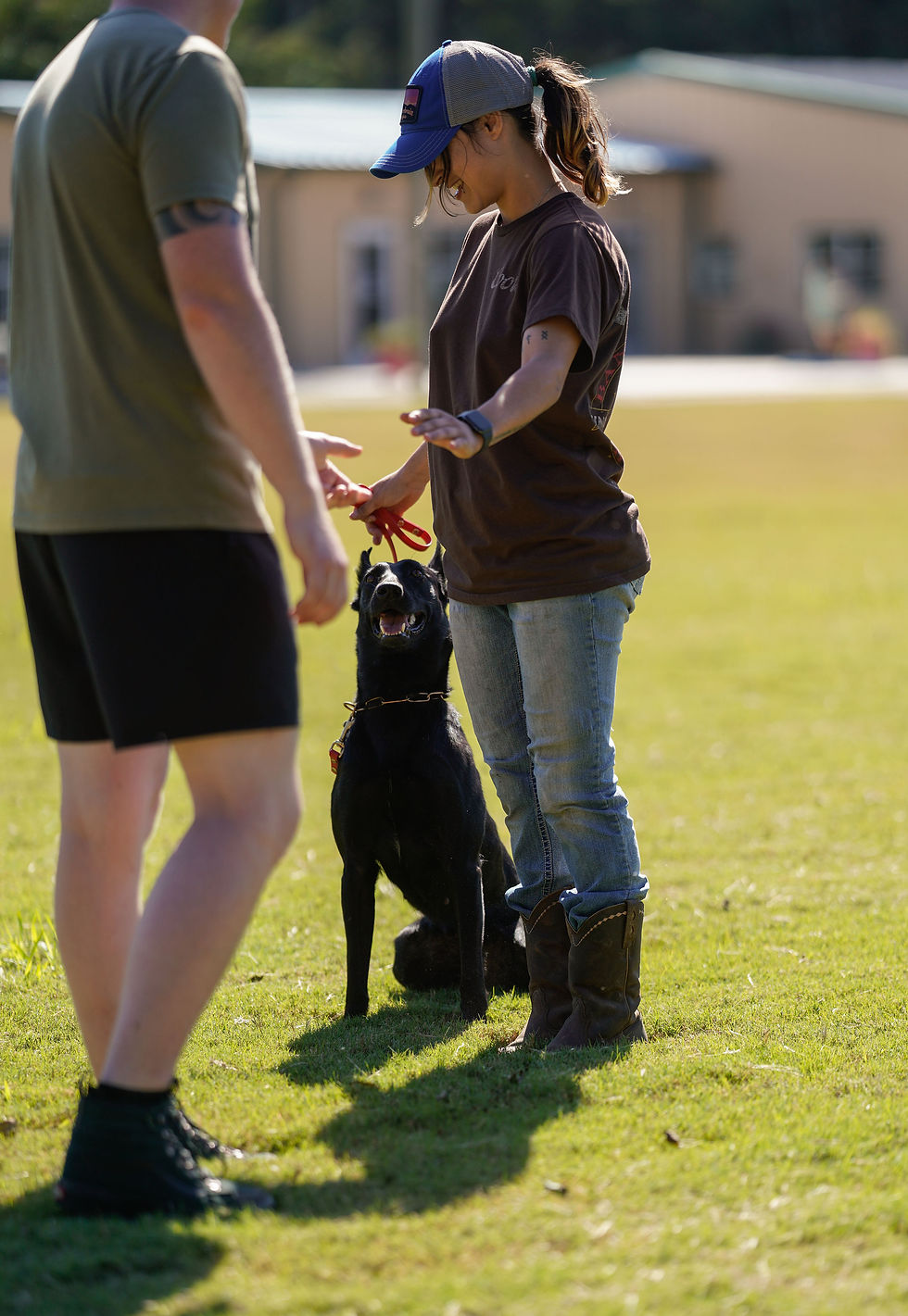 Understanding K9 Physcology 