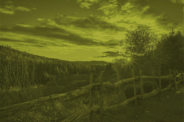 jp-valery-lNQ11otif3Q-unsplash_green_edited.jpg