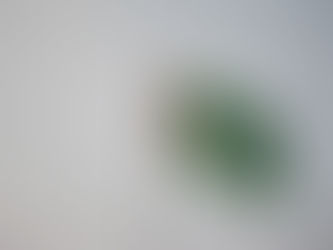 Pakistan Flag