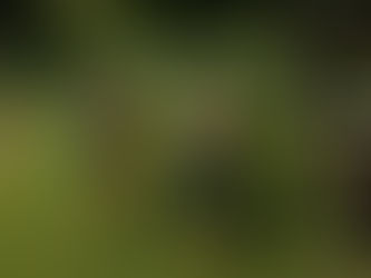 Domáci wellness - 2020