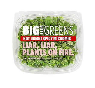 Spicy Micromix_Liar Liar Plants on Fire.png