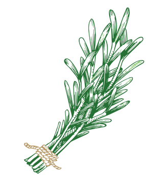 Rosemary.png