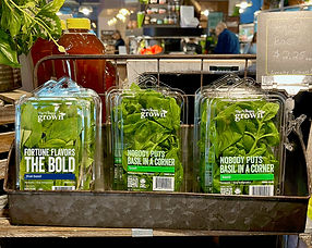 Product-Display-Edit-web_edited.jpg