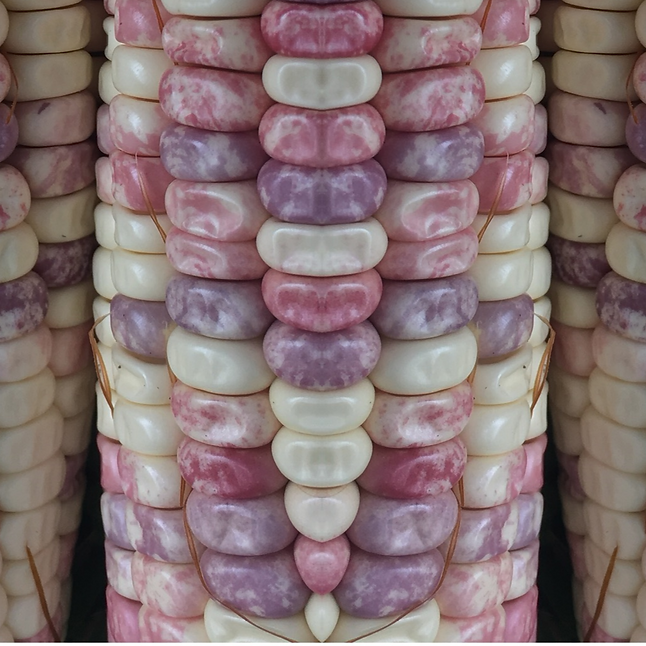 Octubre 2018 361_edited.png