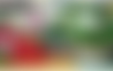          How I Shop a Farmer's Market