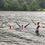 Thumbnail: 8/8 - 11/8  | Wild Women | Windermere