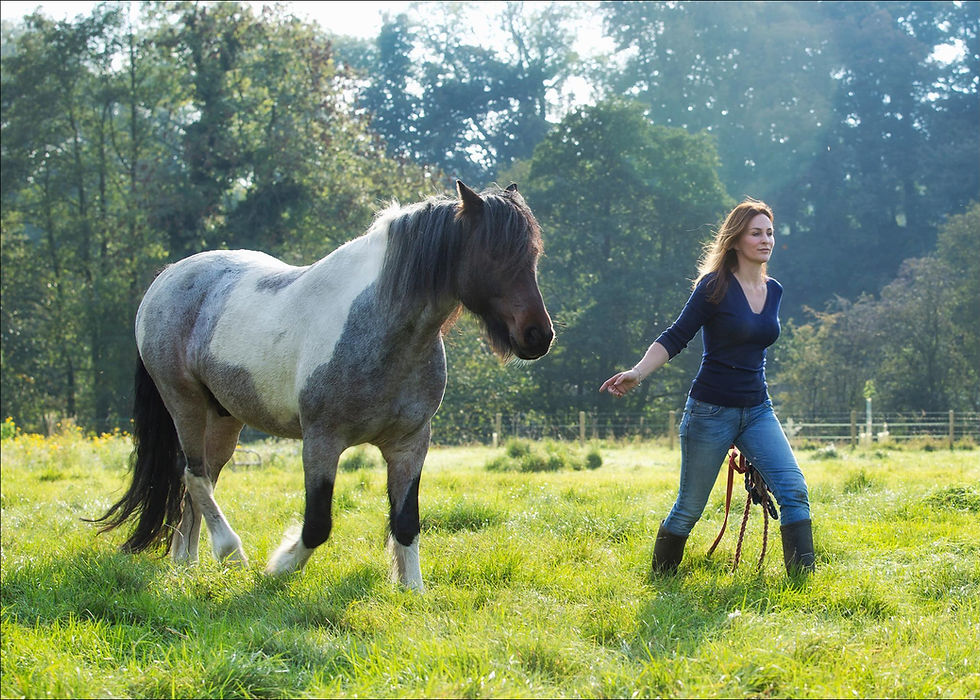 Katherine and Yogi, standing together in a lush field, sharing a peaceful moment of connection with nature and the horses during a Meditate with Horses retreat.