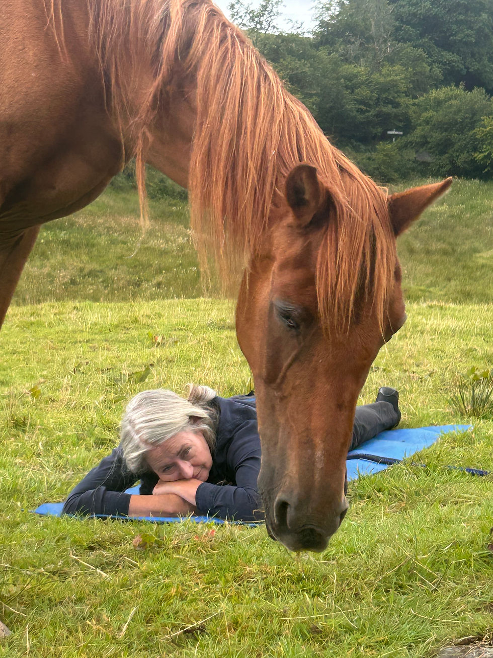 Thumbnail: The Tao of Alchemy and Horses - 11.10.26 - 16.10.26