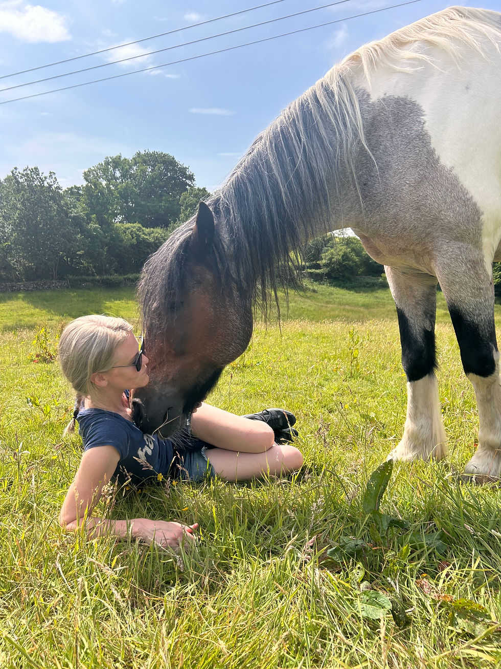 Thumbnail: | Basic Facilitator training | 10/05/2026 - 15/05/2026