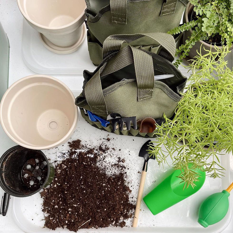 Potting 101 Class Wild Alocasia