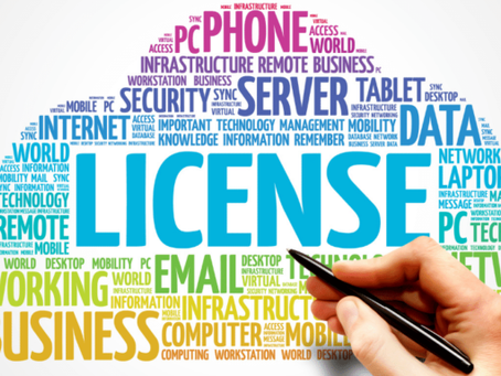 GOVERNING A LICENSE TO NOWHERE USEFUL