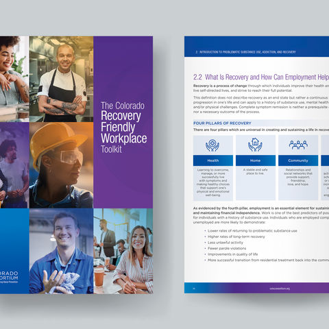 Government Toolkit, Recovery Toolkit
