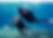 203350c4-2123-48b7-9fa5-e901b31b0c64_edi