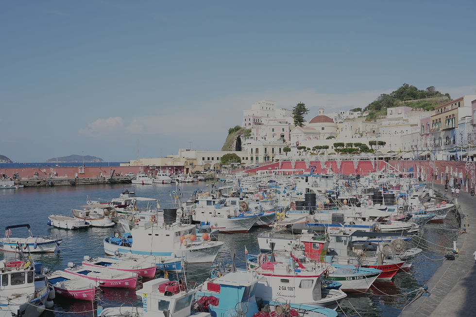 Il Garofano Ponza Art Boutique
