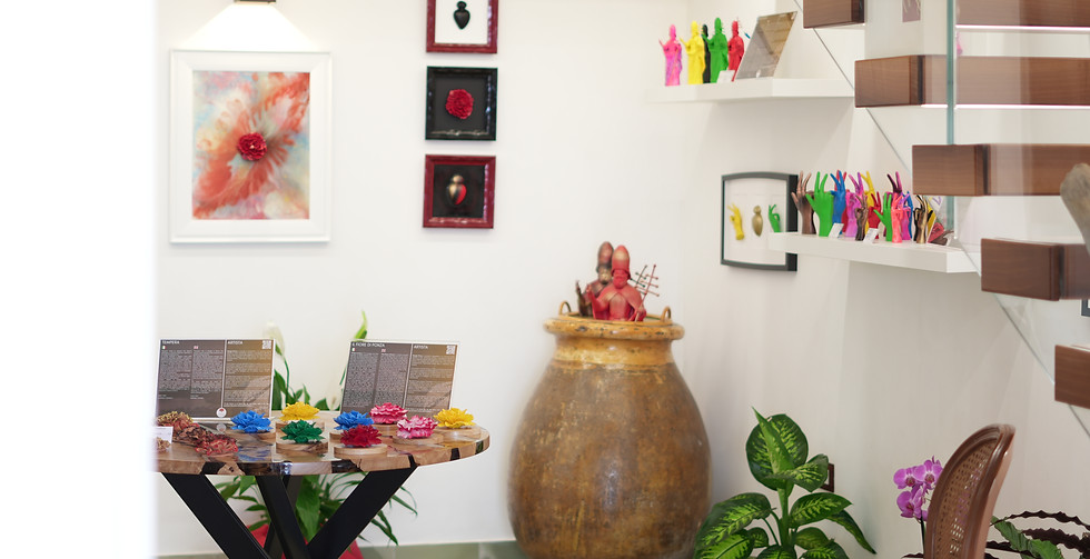 Il Garofano Ponza Art Boutique