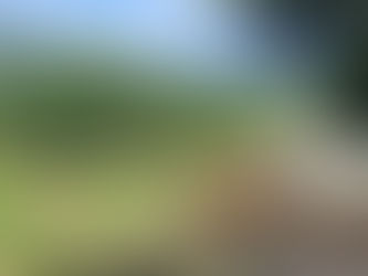 Scopri l’Oasi delle Orie e il Museo di Configno: due esperienze tra natura e cultura da vivere ad Amatrice. Ideali per un weekend rilassante nel cuore del Lazio.