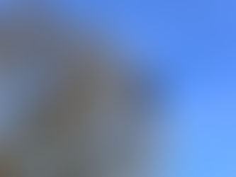 „Und was verdienst du mit dem Schreiben?“