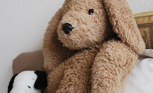 Teddy that travels along