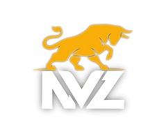 Niel van Zyl (Pty) Ltd Logo