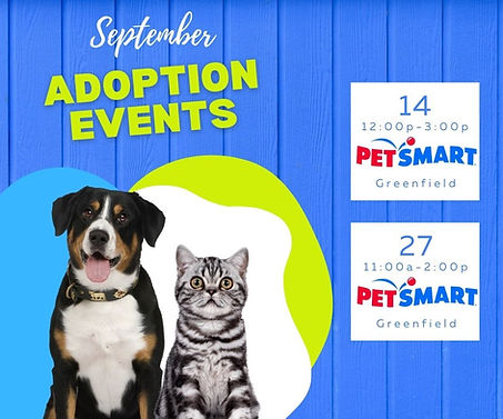 September Adoptions.jpg