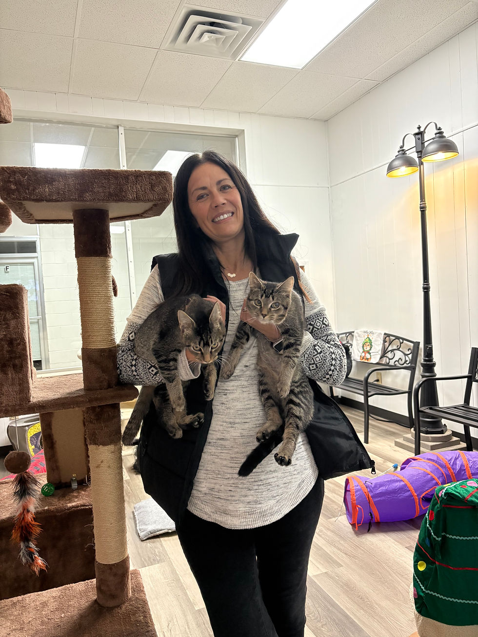 Volunteer Spotlight: Diana Redman