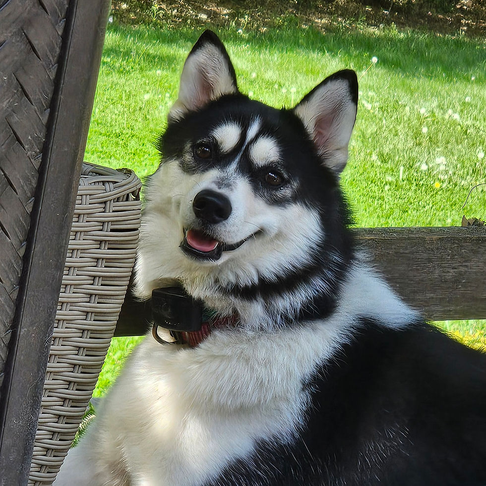 Adult Aya - Isn't she beautiful?