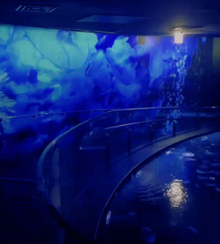 都内水族館