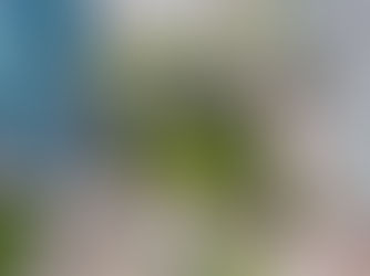 Huizenga Park Reimagined: a New Model for Public Spaces in Downtown Fort Lauderdale