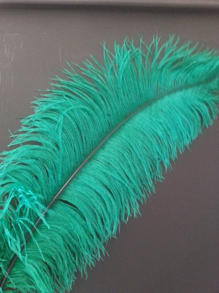 Thumbnail: Colored ostrich feathers
