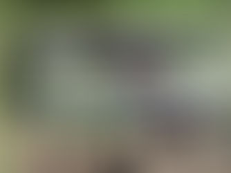 【フィアット ムルティプラ】冷却水が減る原因は「ヘッドガスケット抜け」?修理と対策をプロが徹底解説|兵庫県尼崎市