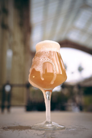 EL PERFIL DEL MOSAIC EN LAS DDH NEIPA