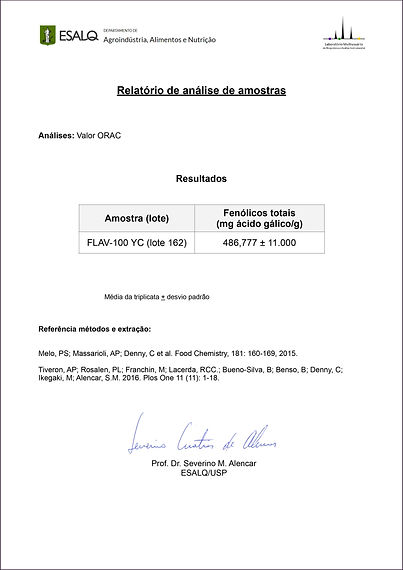 FLAV-100 YC (lote 162).jpg