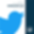 Twitter icon for a digital marketing portfolio social link.
