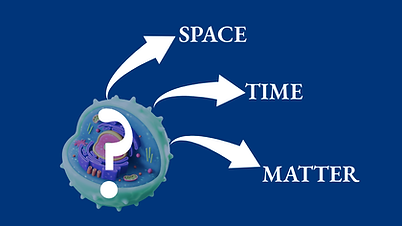 Eternal-Biology-02.png