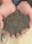 Granules in hand.jpeg