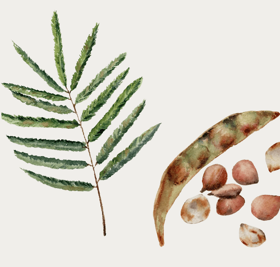 Captura de Tela 2024-12-20 às 17.58.07.png