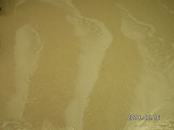 FLOORS CLEAN TECH 007.JPG