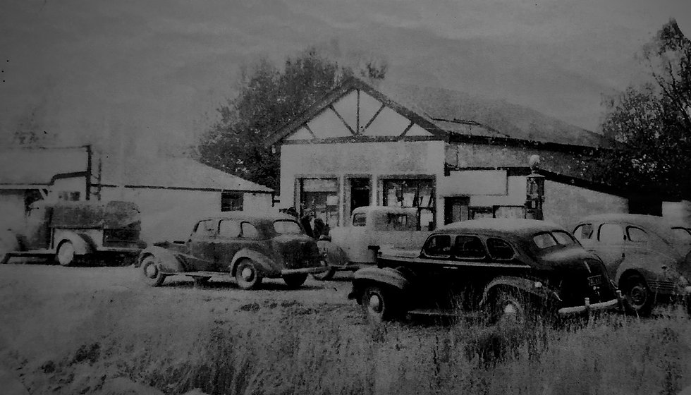 Lauder store low res (3).jpeg