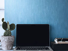 Desk with laptop and Cactus