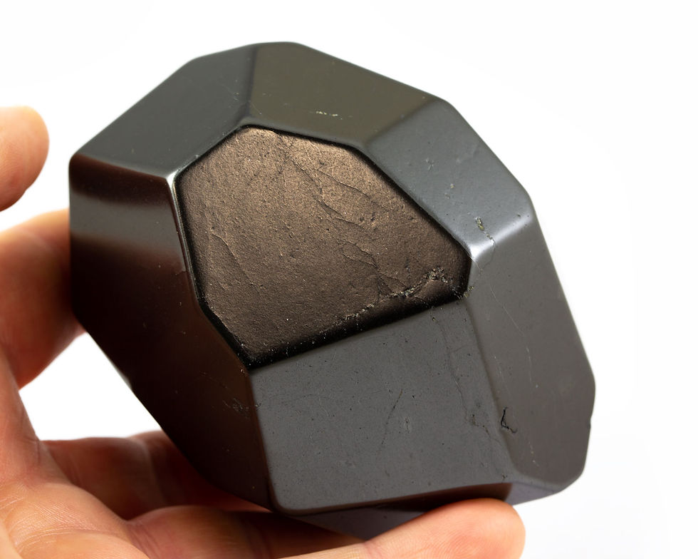 Shungite free form - Facette