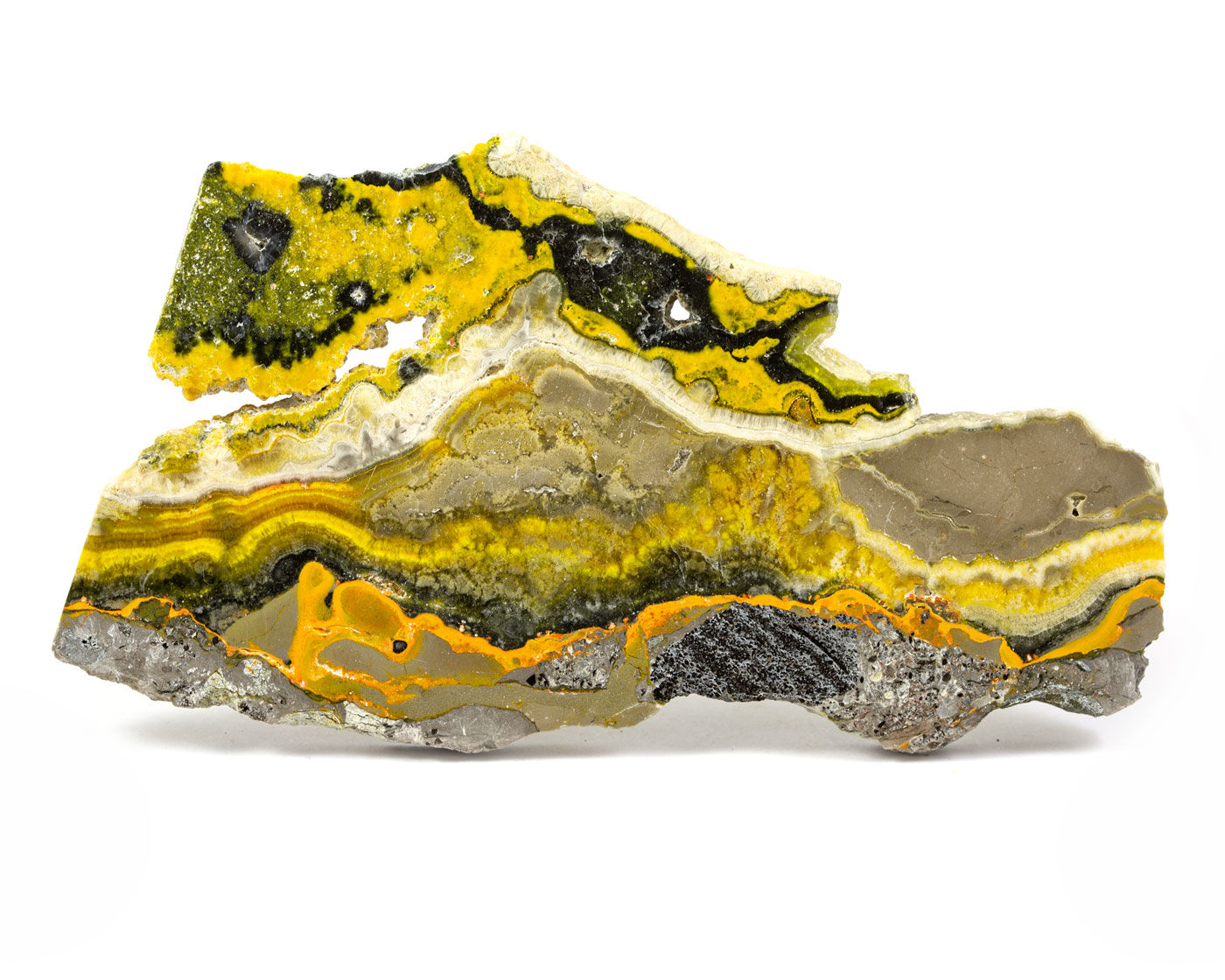 Tranche, plaque de japse bumblebee - Java