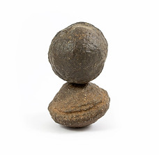 Moqui balls propriétés et vertus