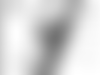 Makira Expedition Bat Survey Results Published