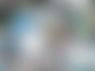 Взлет Litecoin остается загадкой