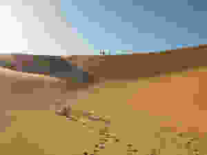 dunas deserto