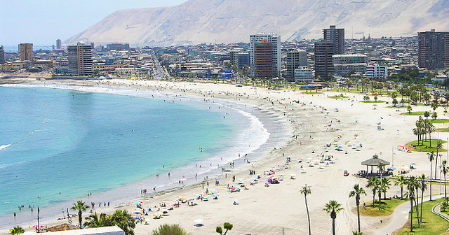 vicunha deserto montanha