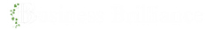 Business Brilliance Logo