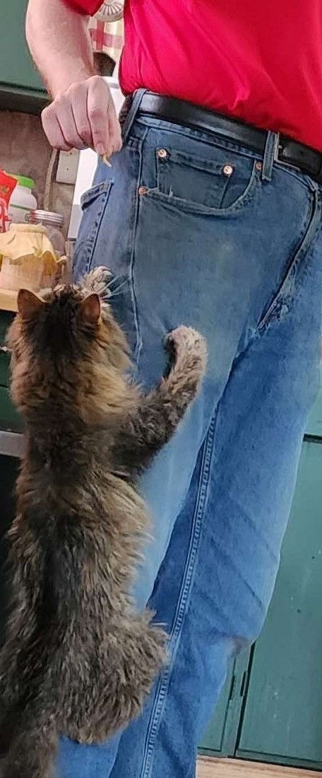 This old lady will climb for some cheese.