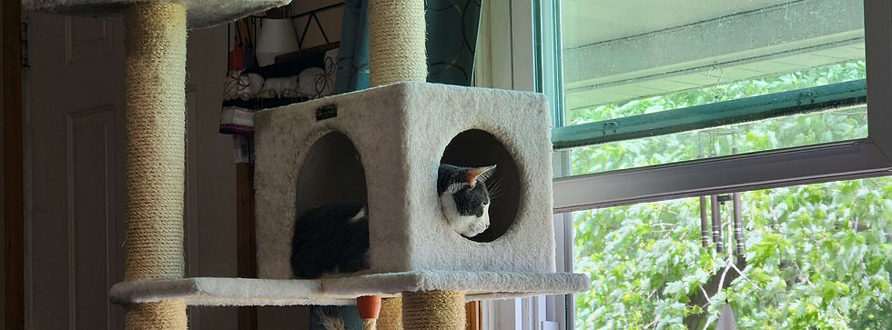 I think he likes the new placement of the tower.