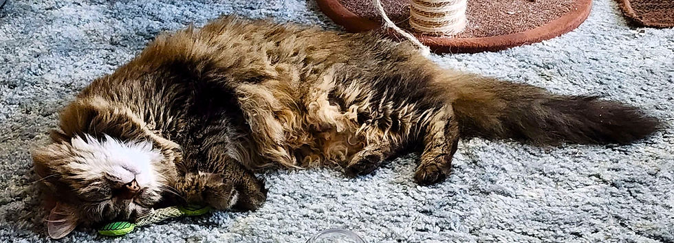 Write Write Write Write Write...